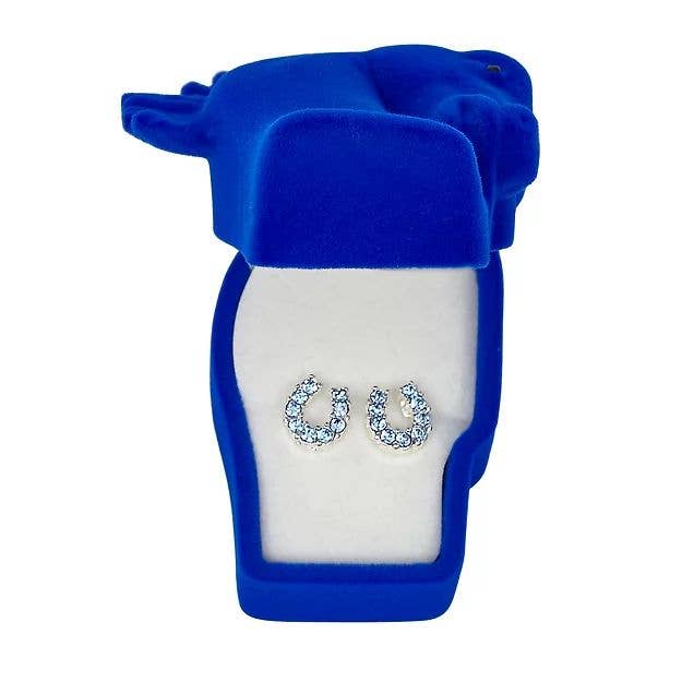 AWST Int'l Rhinestone Horseshoe Earrings  w/Horse Head Gift Box